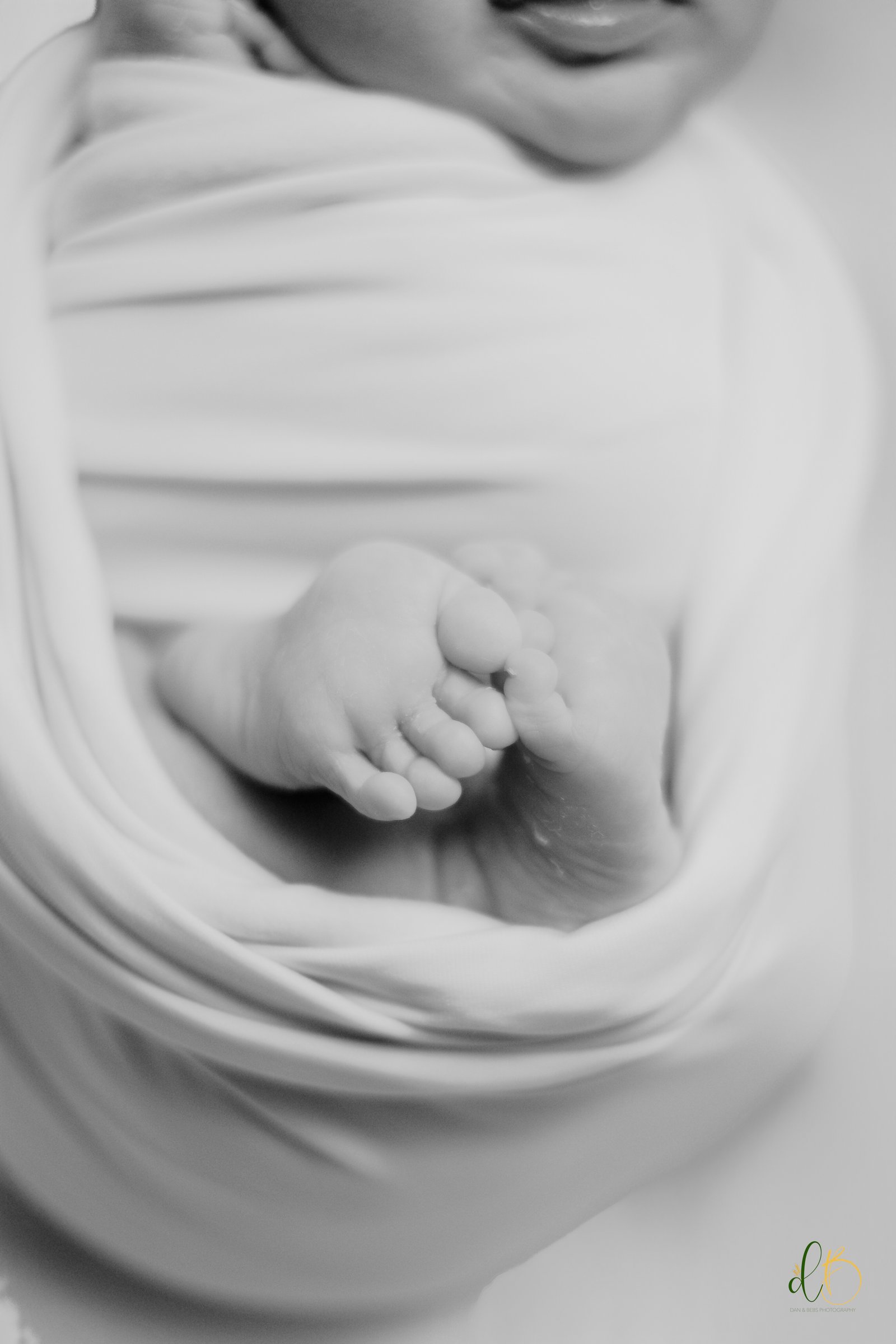 Newborn Session