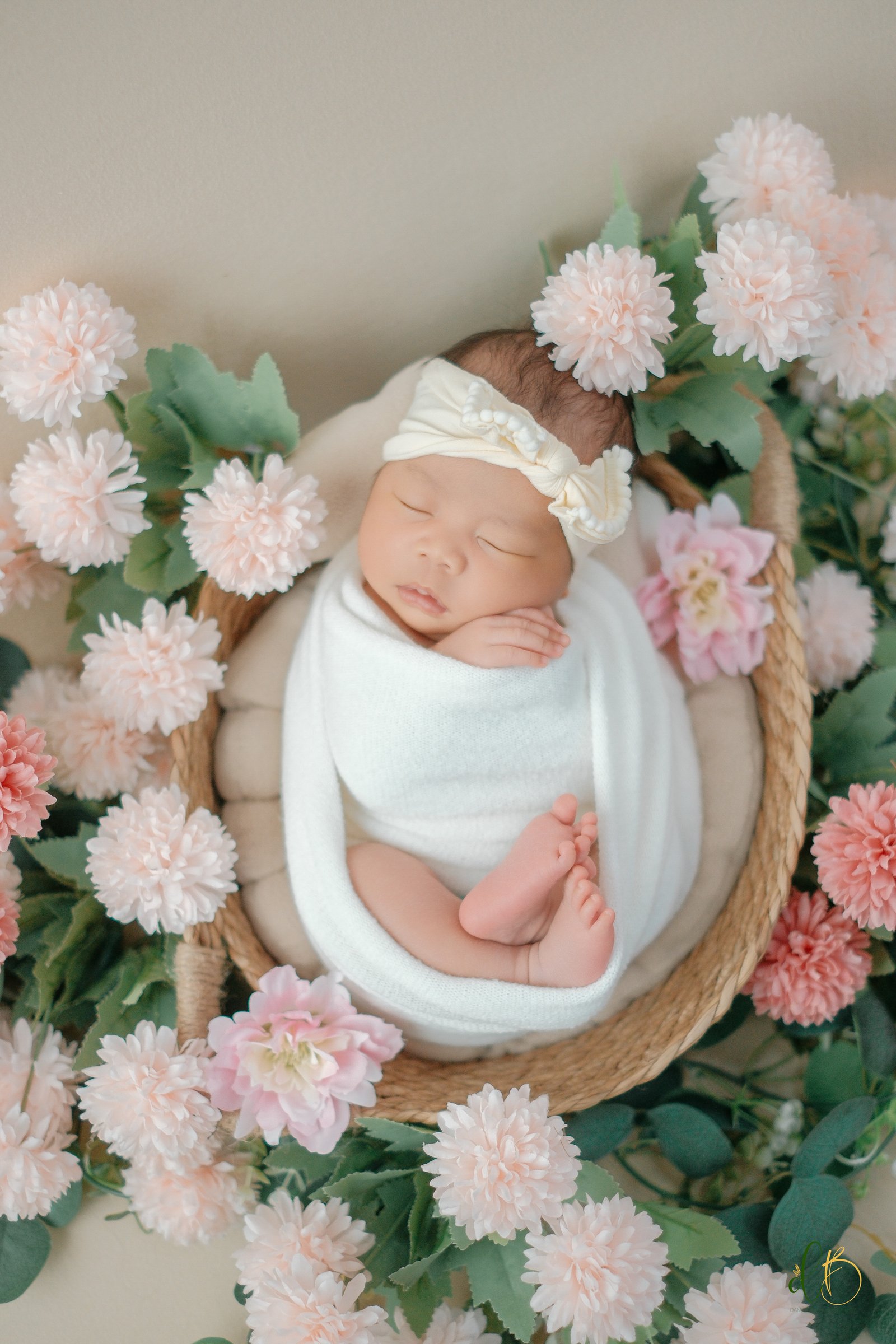 Newborn Session