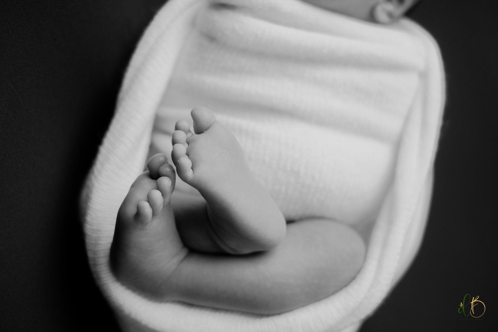 Newborn Session