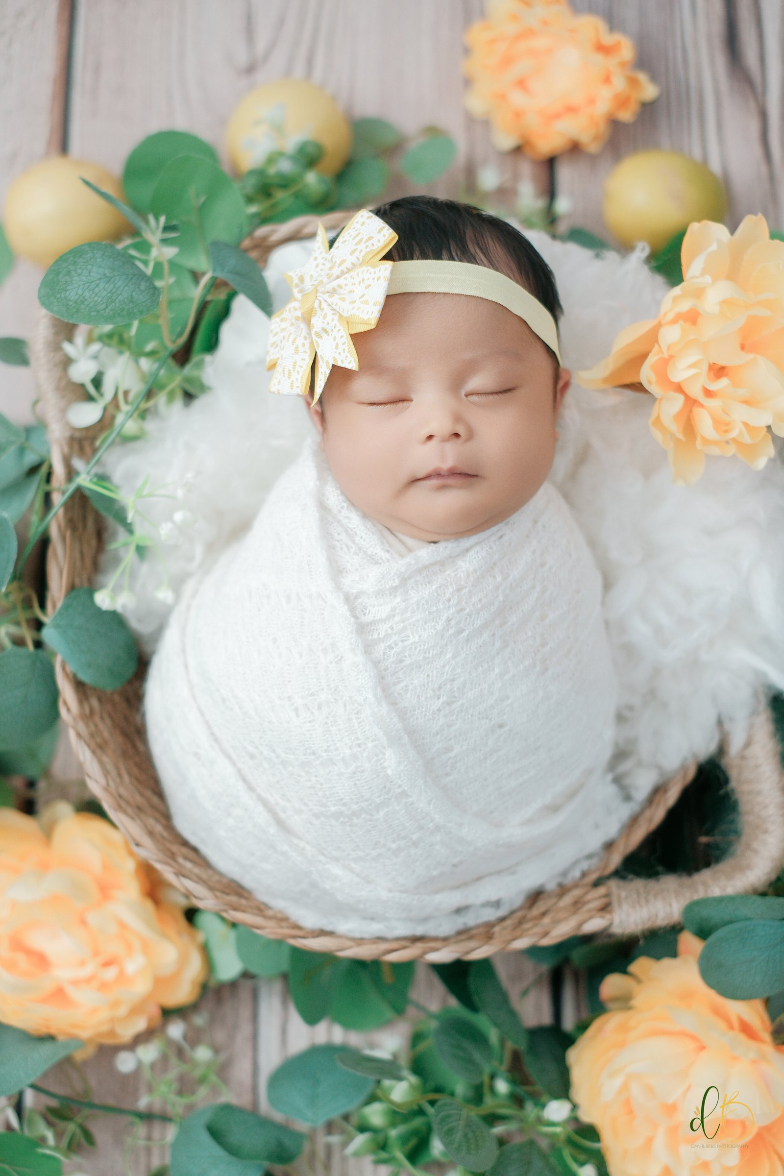 Newborn Session